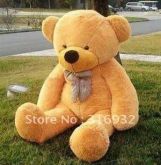 Urso TED